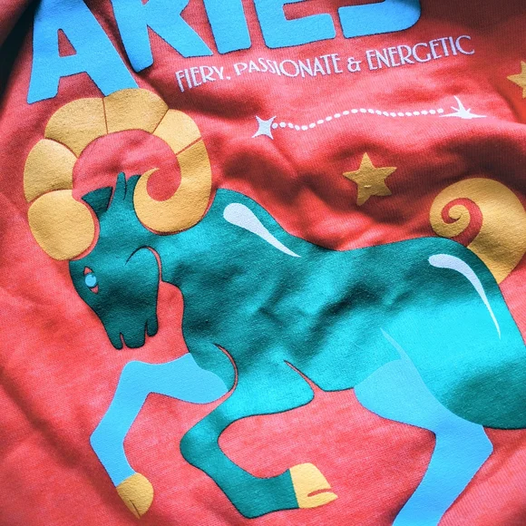 Anthro Aries ♈ Sweatshirt - Bright Orange NWT - Picture 2 of 5